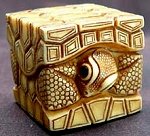 Box Turtle